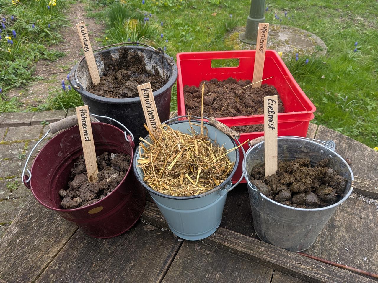 So kannst du Pferdemist als Dnger fr den Garten nutzen