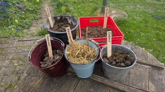 Dngen mit Urin: So hilft "Goldwasser" Pflanzen im Garten | mdr.de