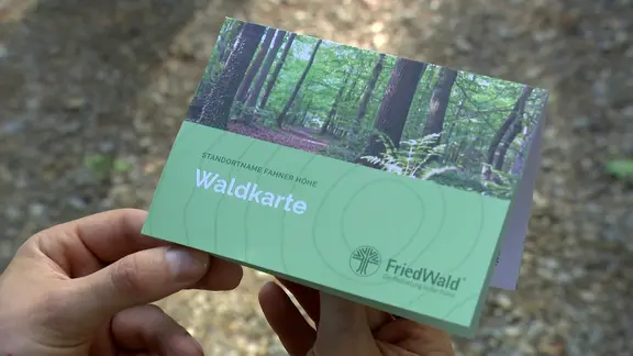 Eine Person hält eine grüne FriedWald-Waldkarte in den Händen. Auf der Karte ist ein Foto eines Waldwegs abgebildet, im Hintergrund ist unscharf ein Wald zu sehen.