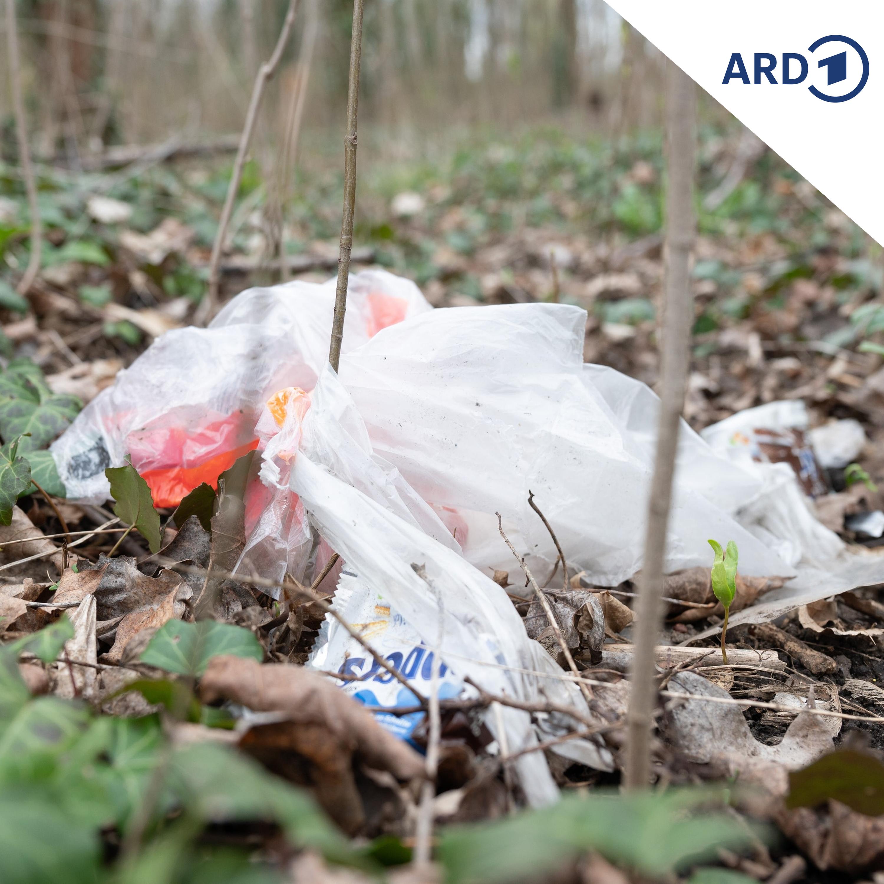 Plastiktütenverbot im Handel reicht nicht aus episode artwork