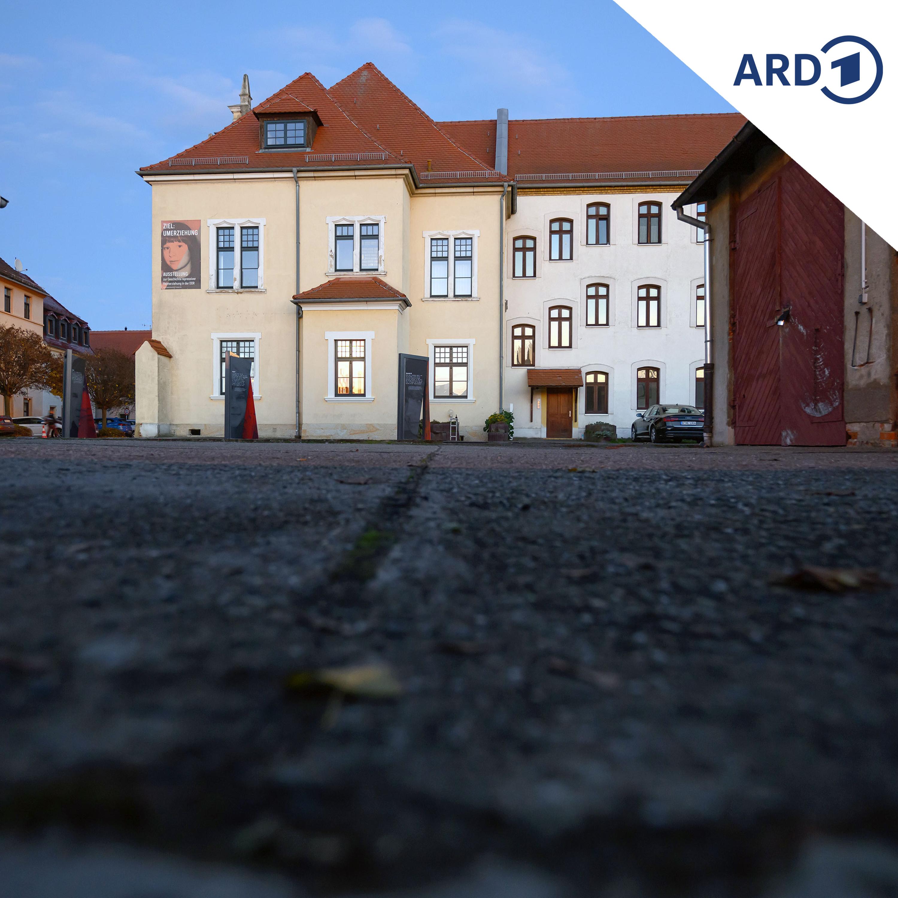 Steinmeier in Torgau: Schicksal von DDR-Heimkindern nicht vergessen episode artwork