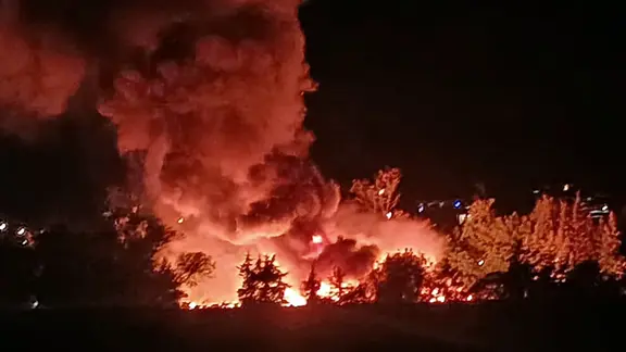 Flammen und Rauch leuchten bei Nacht über Bäumen.