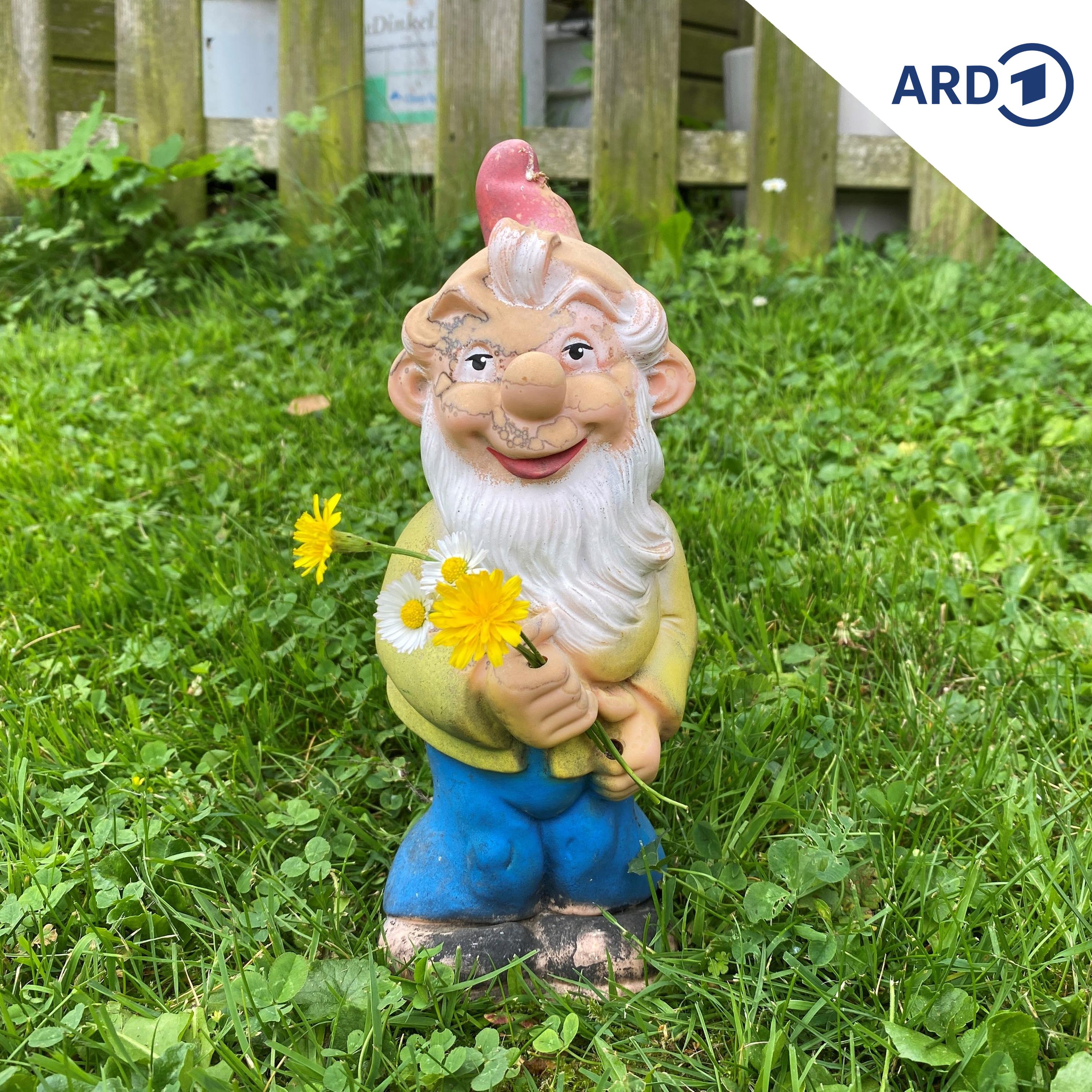 Der Polizeibericht am Nachmittag | 08.06.2026 episode artwork