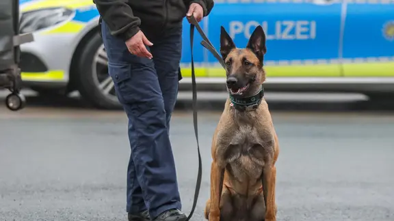 Ein Polizeihund sitzt neben seinem Hundeführer vor einem Polizeiauto.