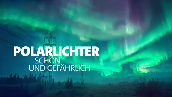 Wiesenlandschaft mit vereinzelten Bäumen, am Nachthimmel ein riesiges grünes Polarlicht