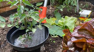 Upcycling: Diese Gietricks sparen Wasser im Garten