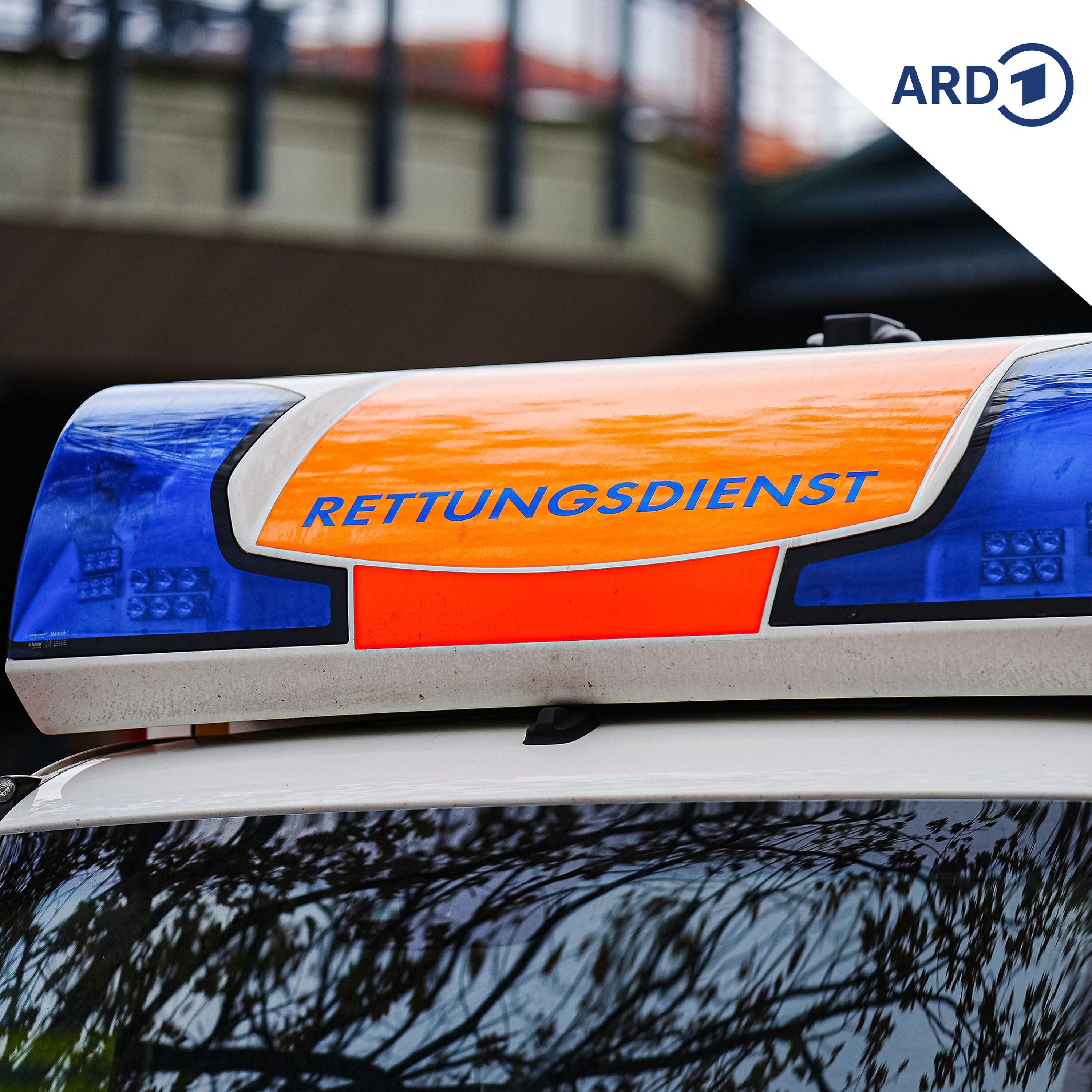 Sollten Patienten für unnötige Rettungswageneinsätze zahlen? episode artwork