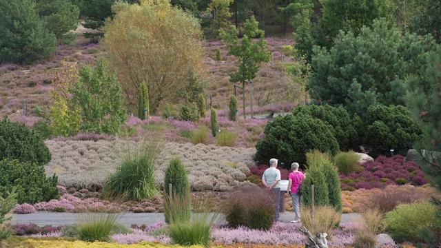 Sehenswerte Parks und Grten in Sachsen, Sachsen-Anhalt und Thringen