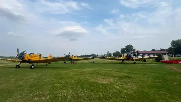 Zwei gelbe Flugzeuge stehen auf einer Wiese. 