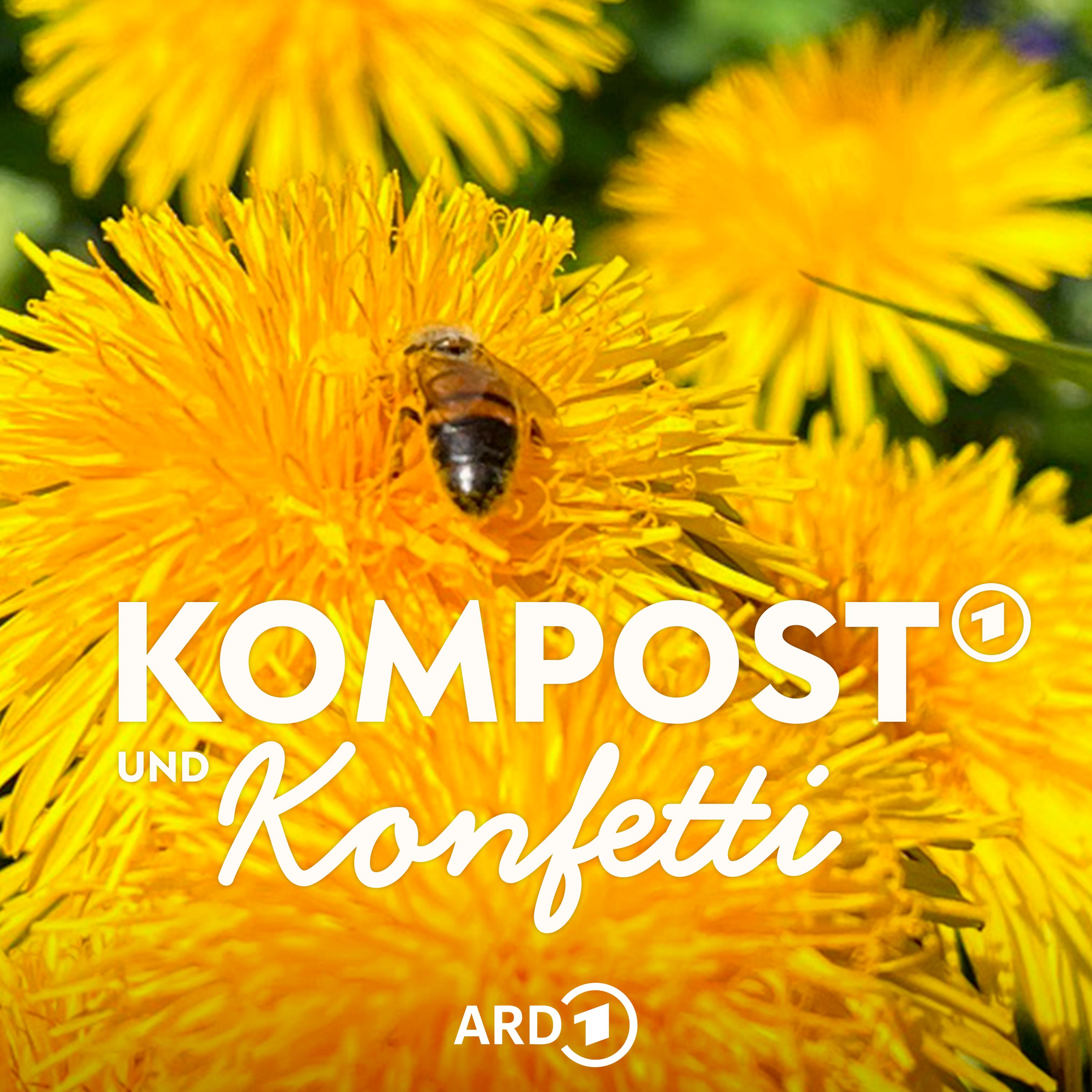 "Unkraut" oder wertvolles Superfood? Was Wildpflanzen können episode artwork