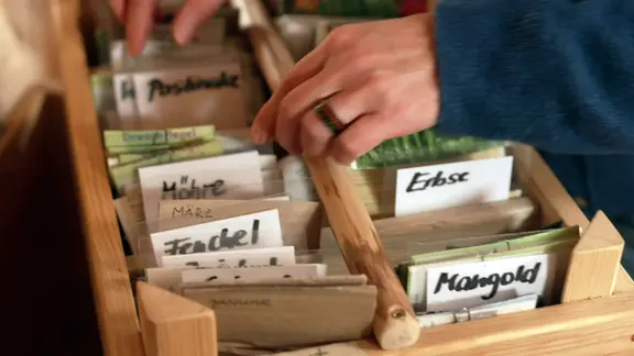 kunstpflanzen künstliche farne Künstliche Hängepflanze Farn mit Wurzeln d55 cm – Easyplants Deutschland
