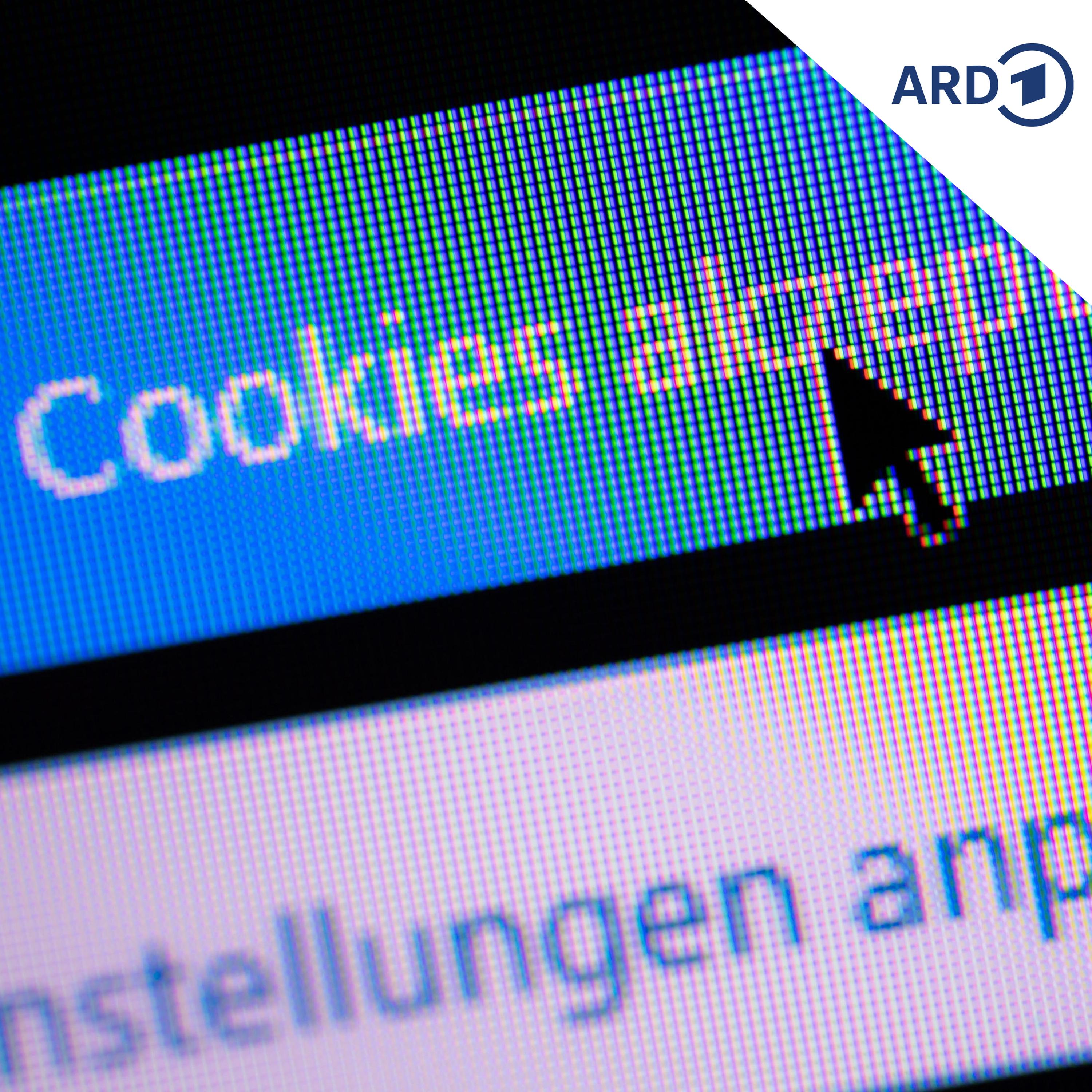 Internet: Verschwinden die Cookie-Banner? episode artwork