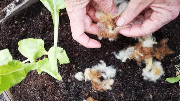 dünger pellets HaGaFe Insektendung, Dung