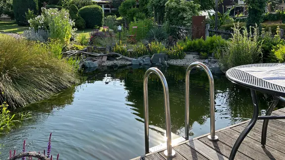 Wasser im Garten: Schwimmteich anlegen und pflegen | mdr.de