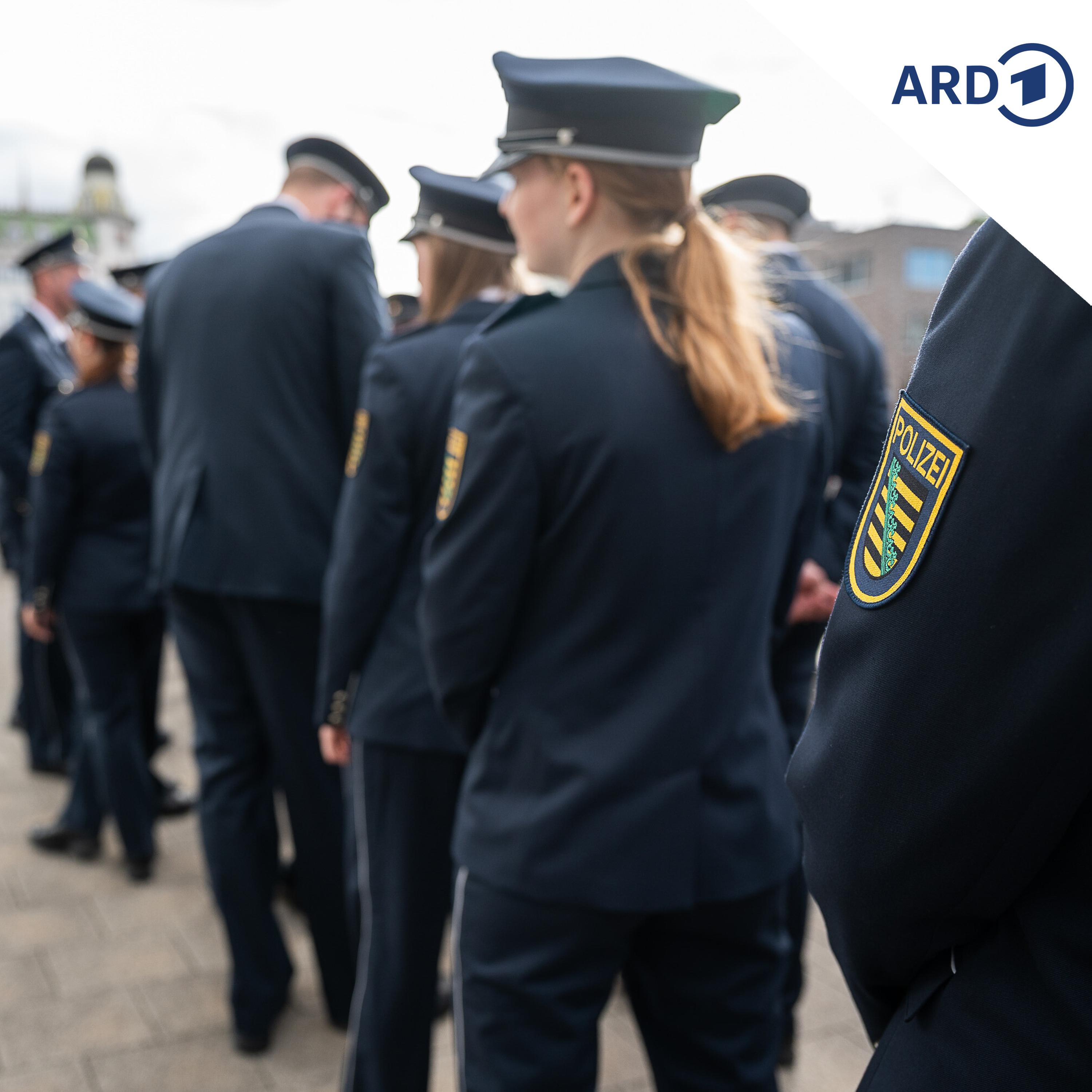 Wenn der Polizeianwärter schon mal einen Harnstein hatte episode artwork