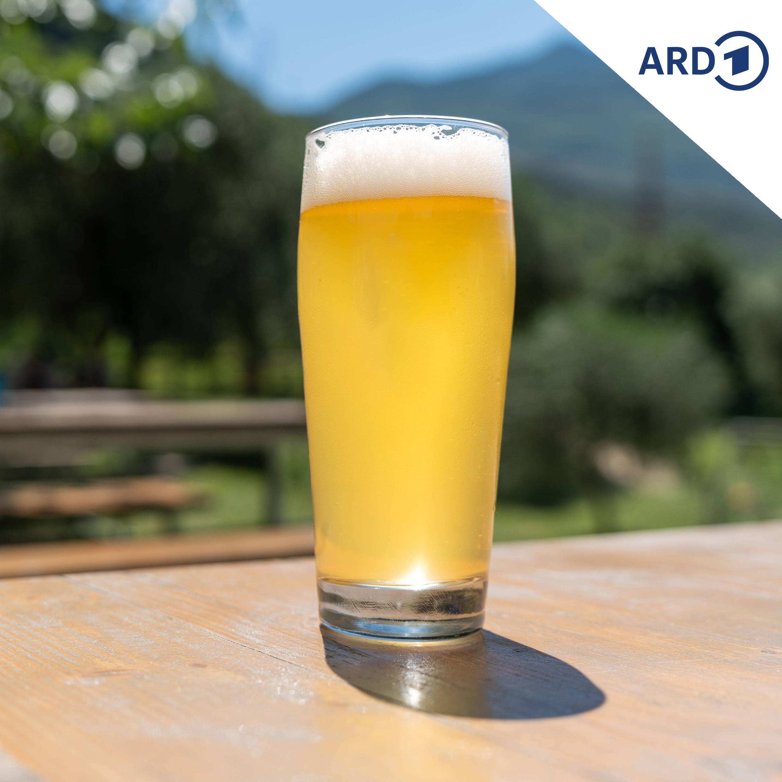 Im Trend: Alkoholfreies Bier episode artwork