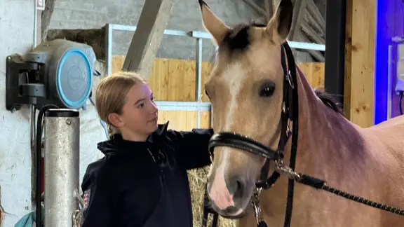 ein Mädchen und ein Pferd