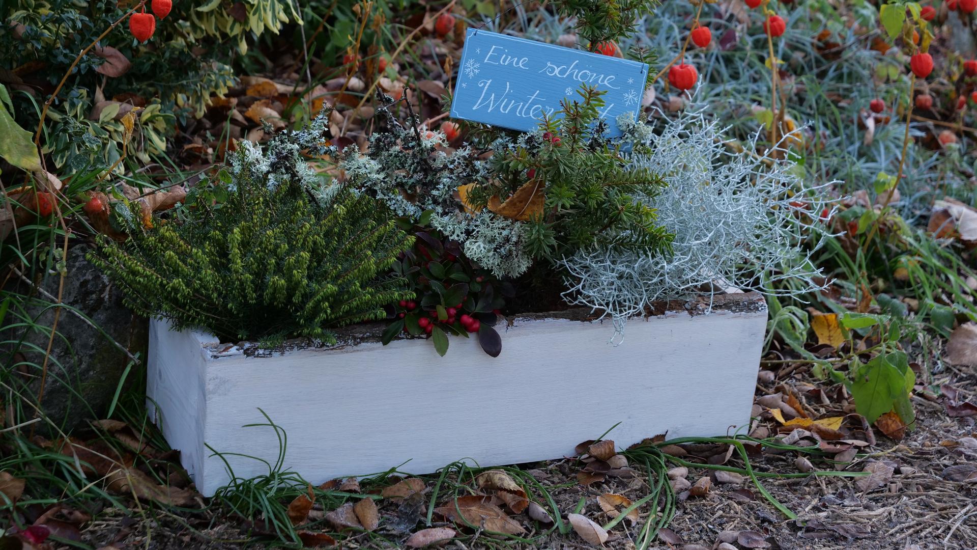 Balkon bepflanzen: Ideen fr Herbst und Winter