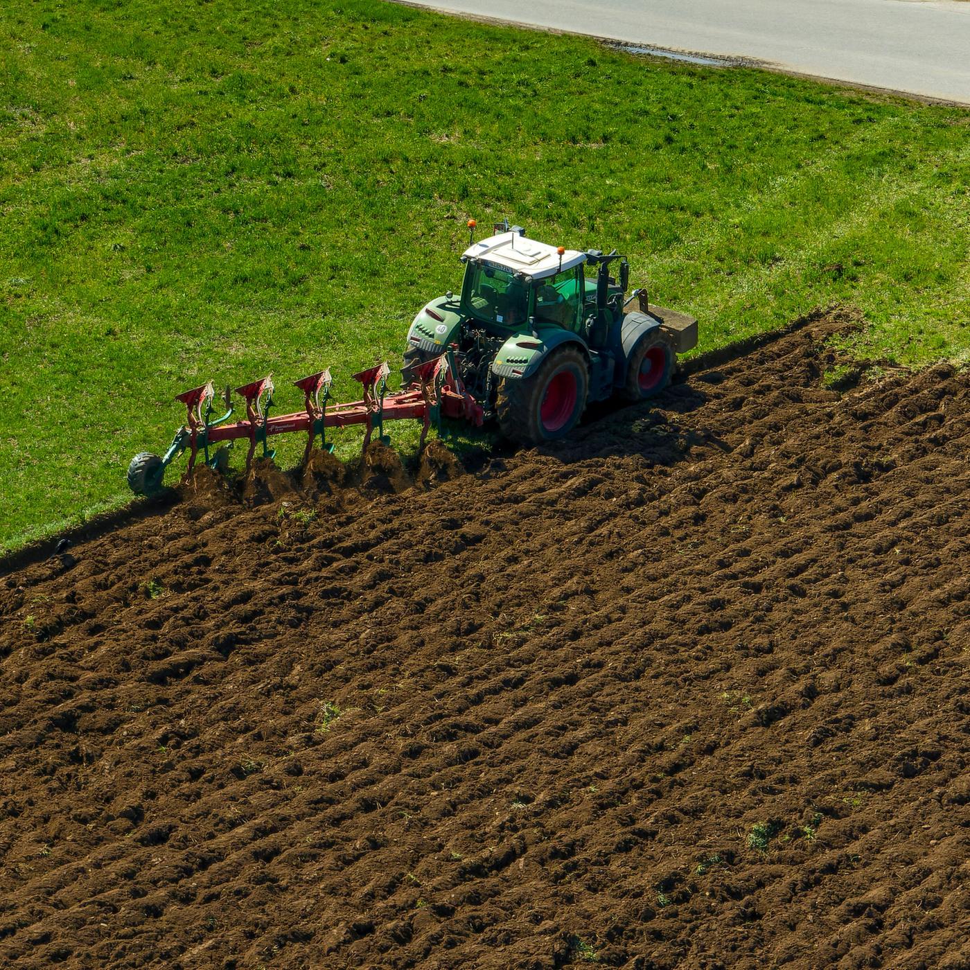 nährstoffgehalte organischer dünger 2017 baumbad Flüssigdünger Vermicompost 1 Liter / Wurmkompost Baum Dünger NPK  1-1-1