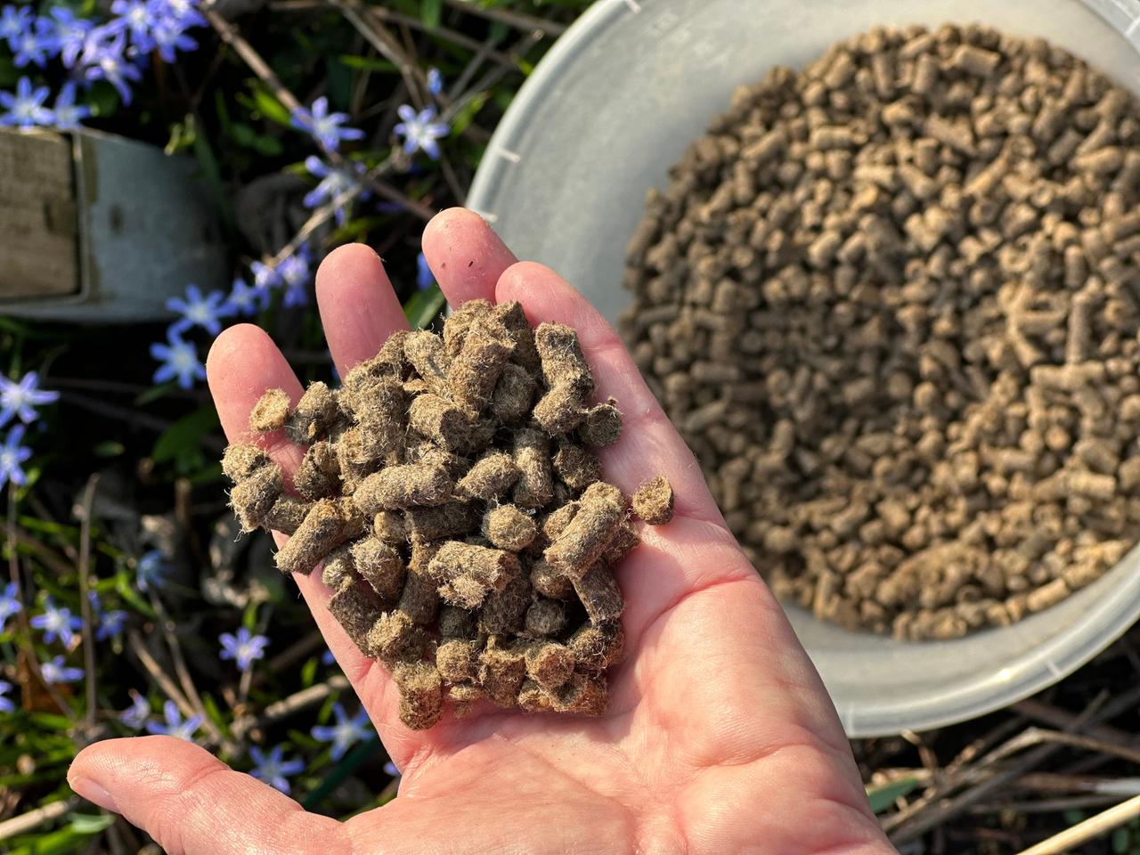 Dngen mit Schafwoll-Pellets