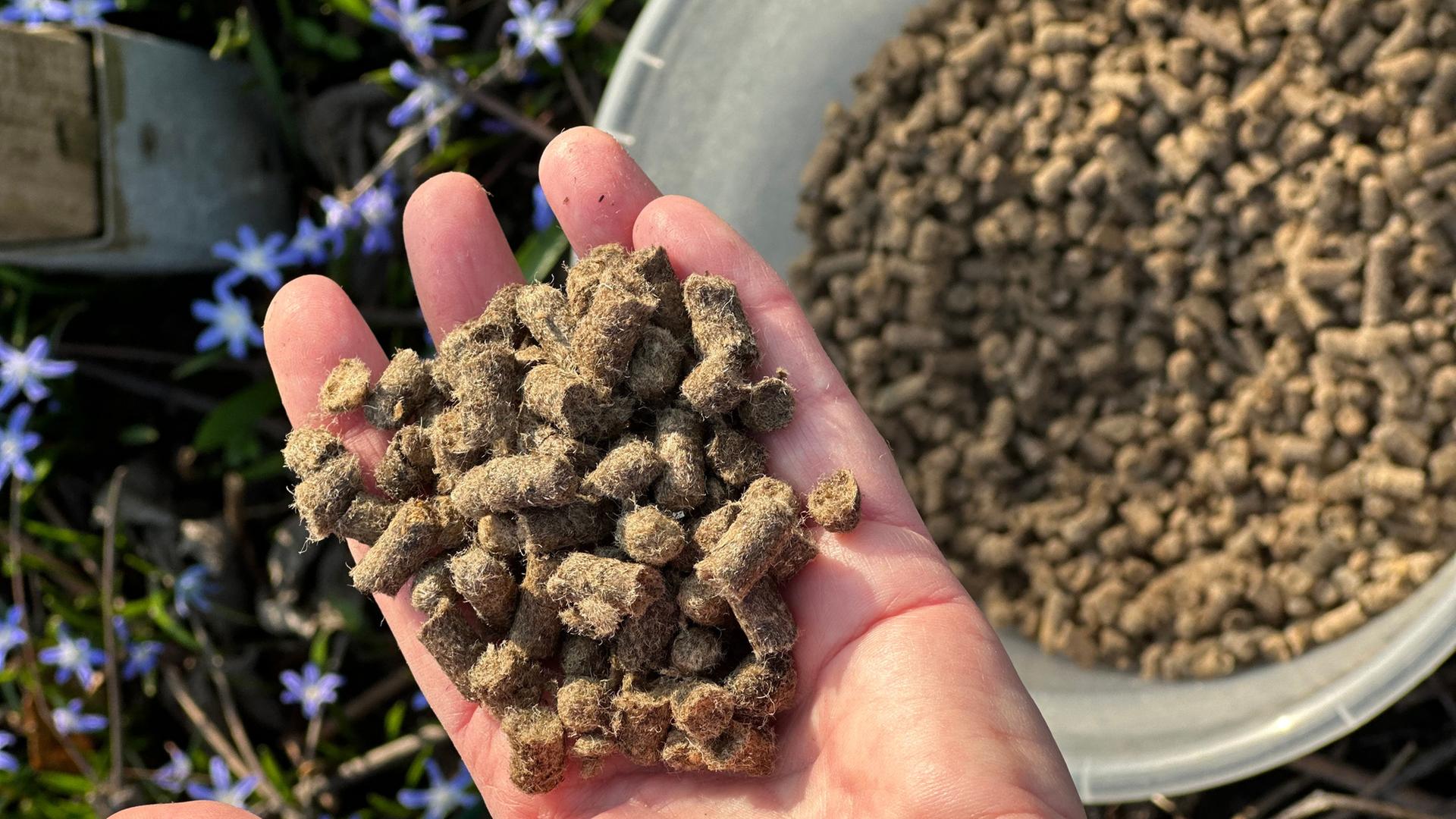 Dngen mit Schafwoll-Pellets