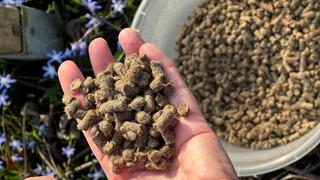 Dngen mit Schafwoll-Pellets