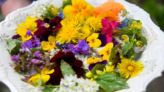 Nahaufnahme: Auf einem weißen Teller liegt eine bunte Auswahl essbarer Blüten und Kräuter in Gelb, Violett, Orange, Rot und Weiß.