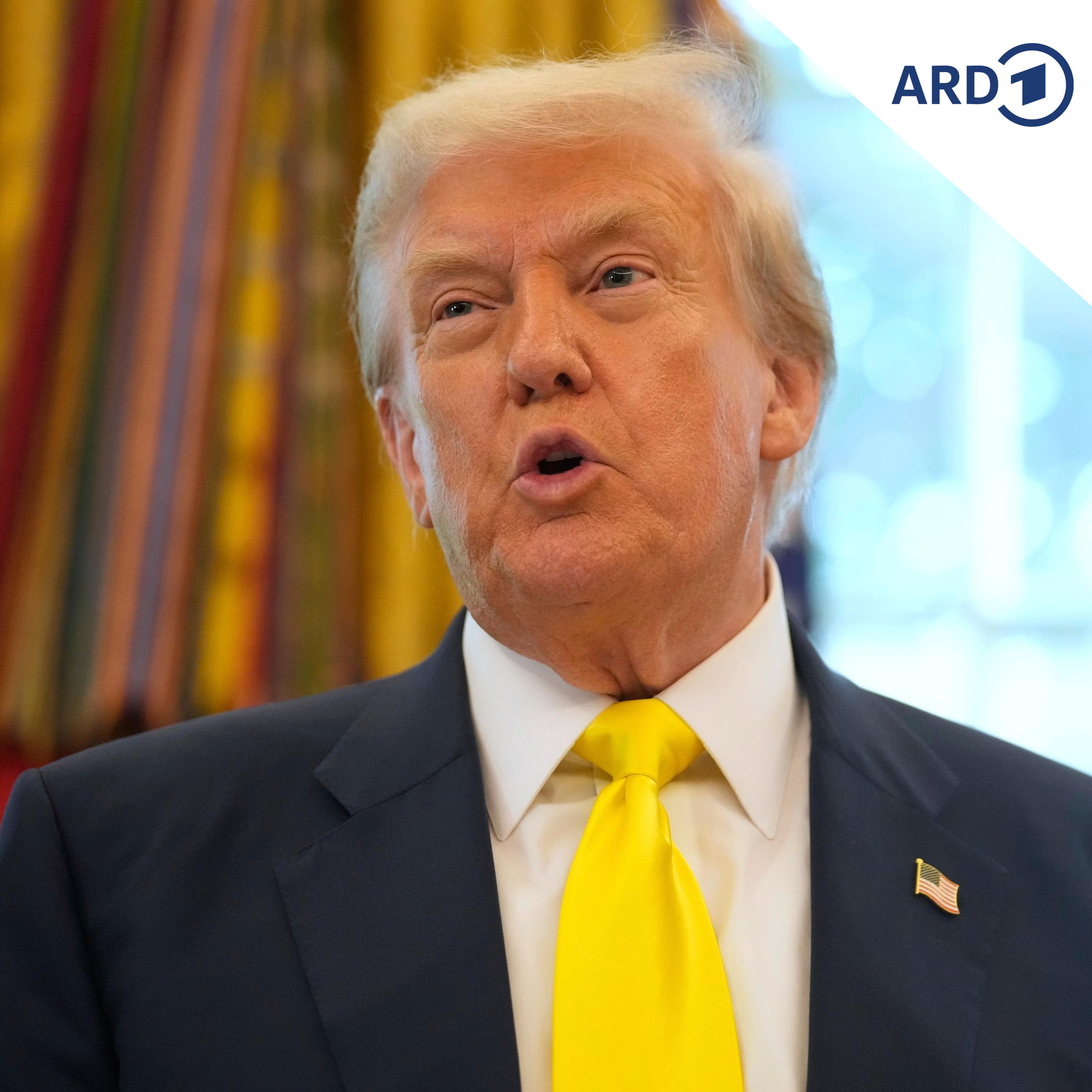 "Gebietsaustausch" – Was meint Trump damit? episode artwork