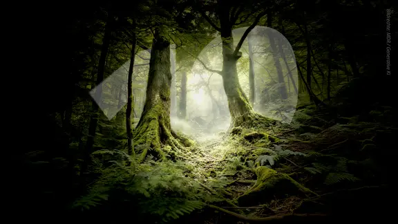 Wald mit dem Logo von "Die Großen Fragen in 10 Minuten"