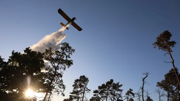 Das Löschflugzeug Hexe 1 ist bei einem Waldbrand im Einsatz und wirft Wasser auf Bäume ab.