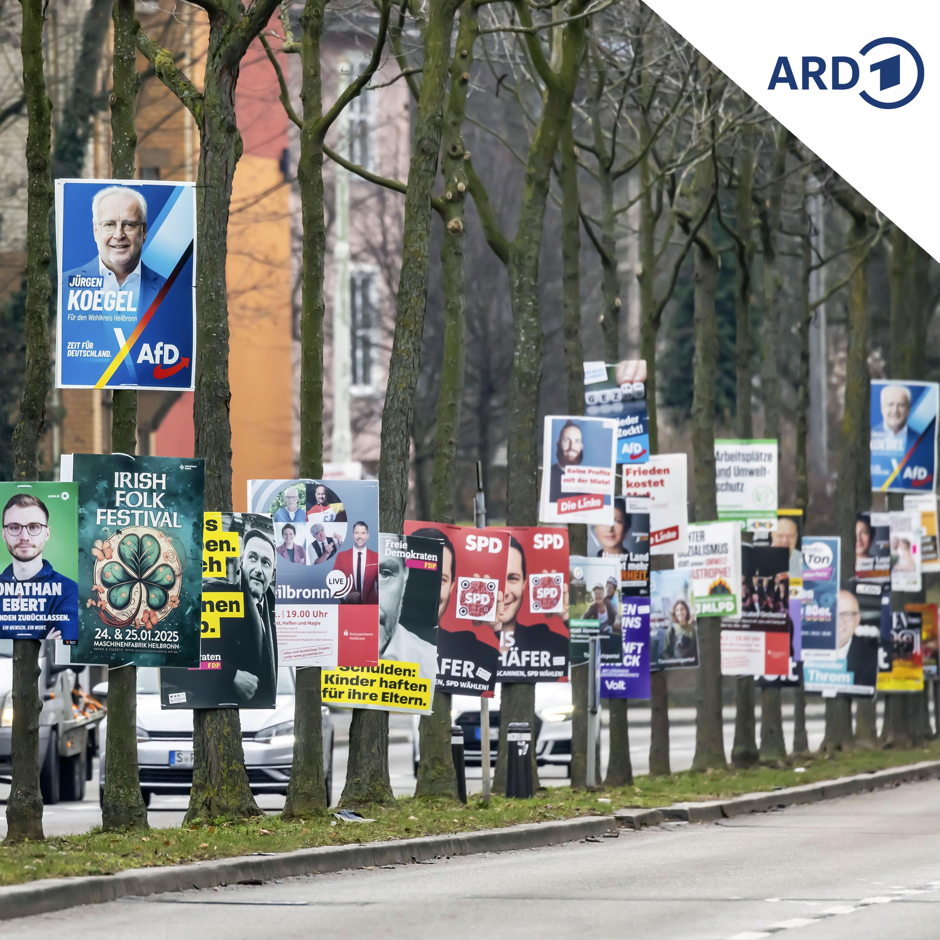 Was erwarten Polen und Tschechen von einer neuen Bundesregierung? episode artwork