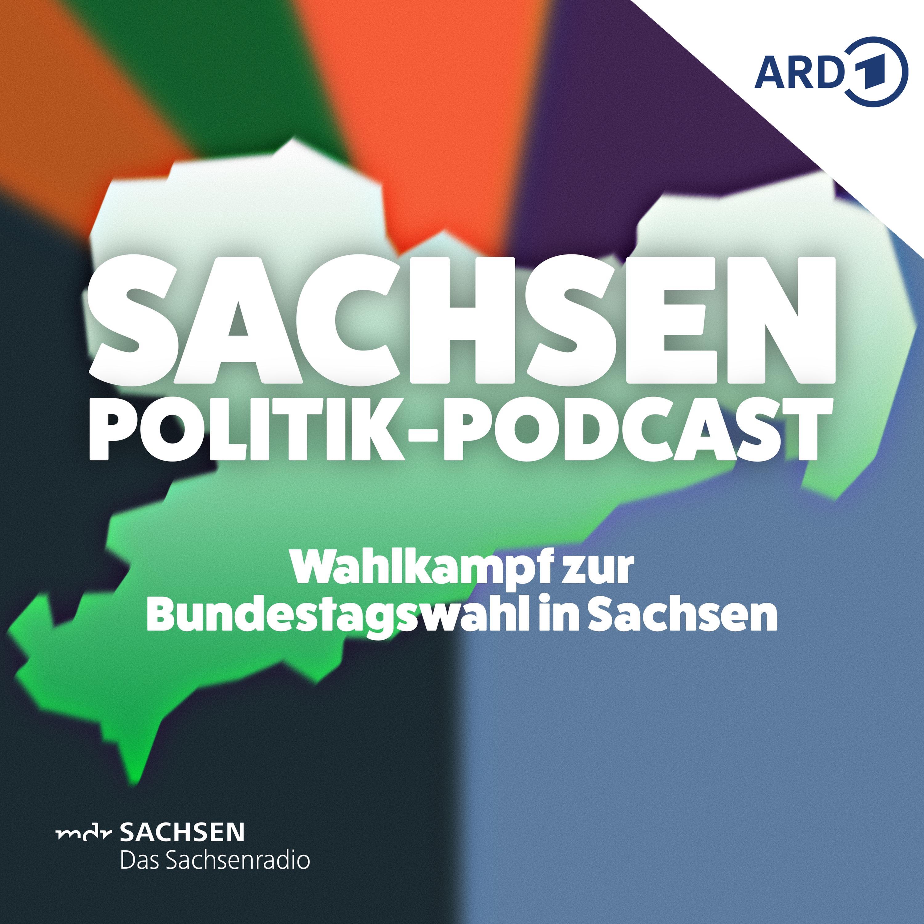 Wahlkampf zur Bundestagswahl in Sachsen - Scholz, Lindner und AfD-Parteitag episode artwork