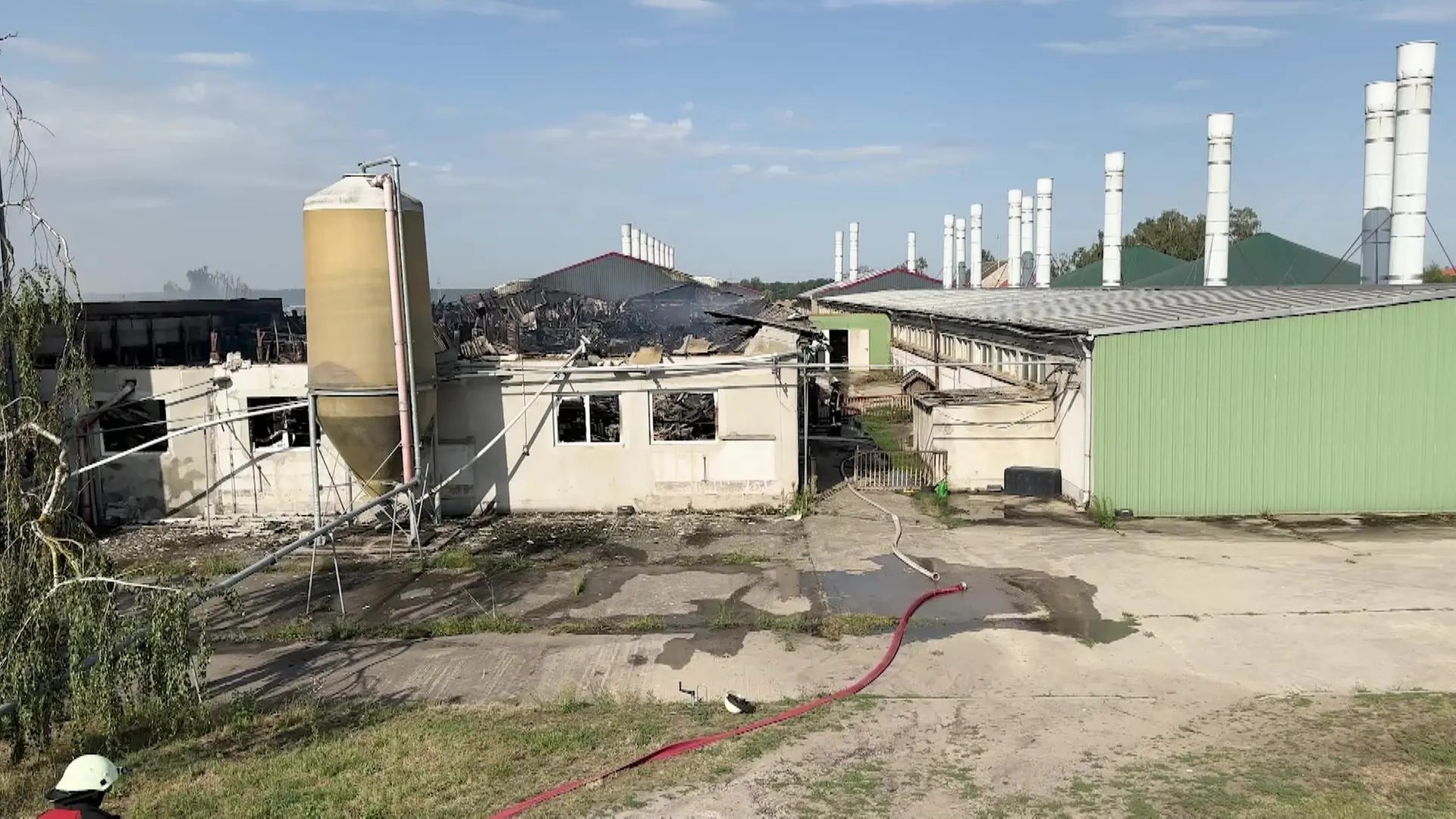 Nach Großbrand in Schweinemastanlage bei Coswig: Ursache weiter unklar