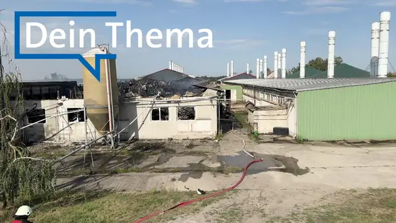 Ein ausgebranntes Stallgebäude