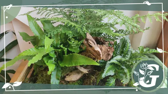 Mini-Garten mit Farn als Deko fr die Wohnung basteln | mdr.de