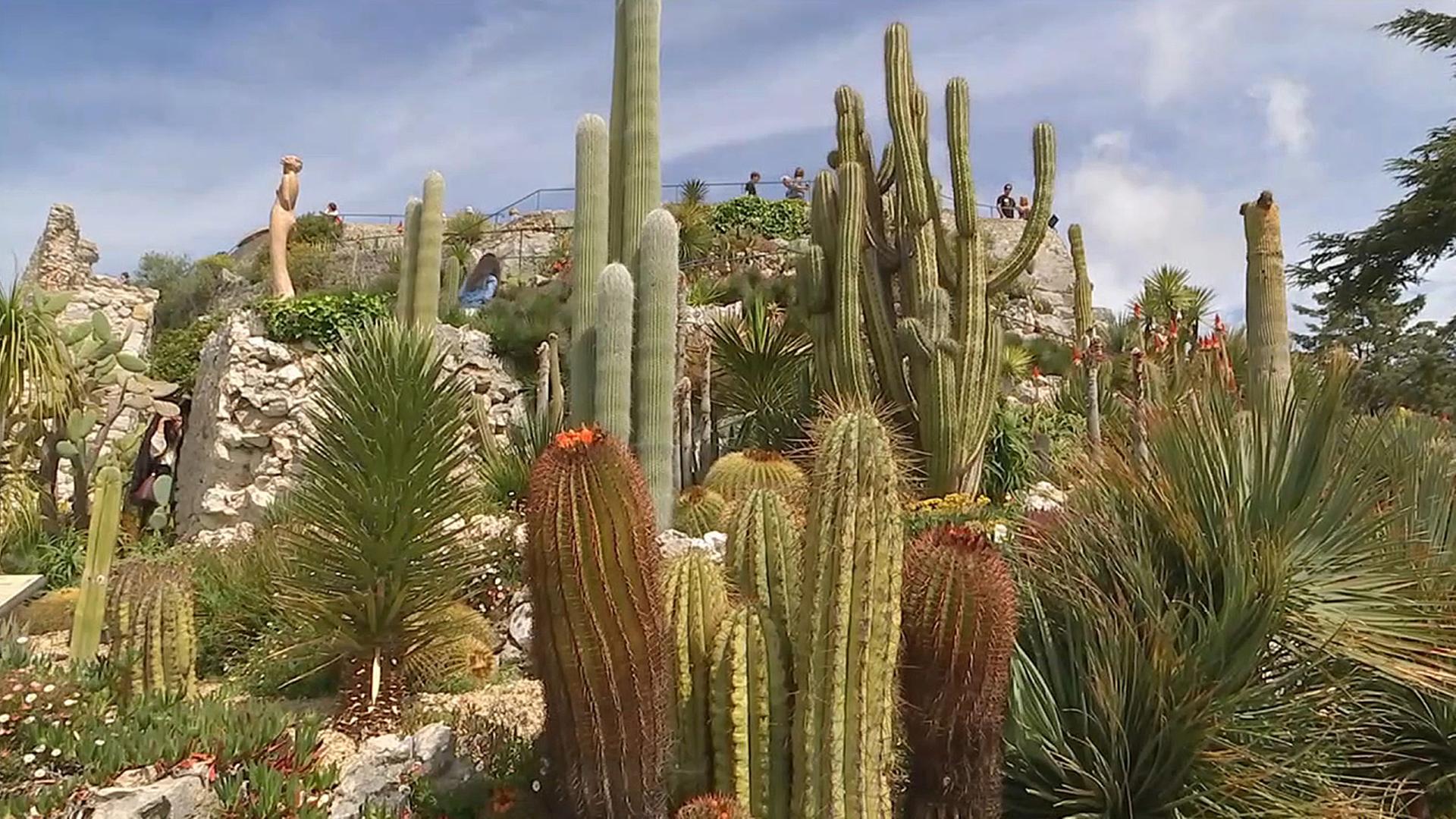 Der Sukkulentengarten Èze an der Côte d'Azur