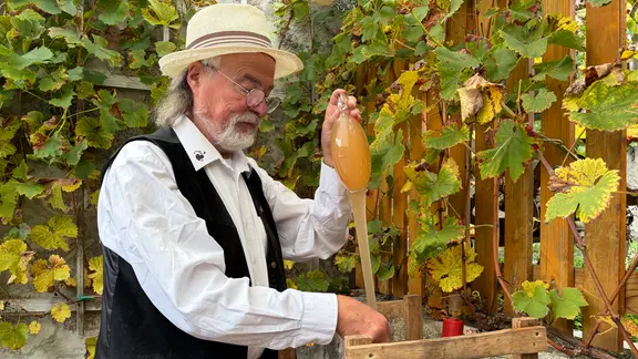 Ein Winzer beim Weinziehen