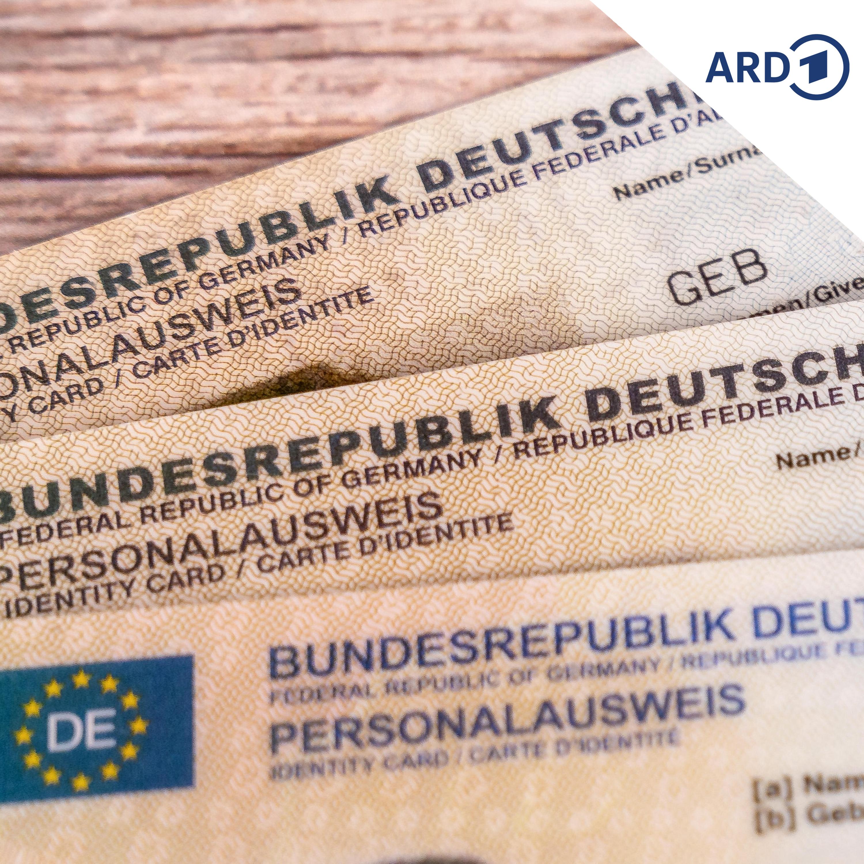 Die Nachrichten des Tages vom 08.09.2026