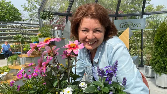 Bienenfreundliche Blumen und Kruter fr den Balkon | mdr.de
