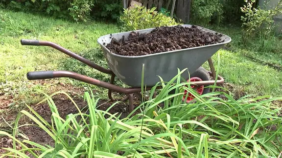 Mit Pferdemist im Garten dngen: Das solltest du beachten | mdr.de