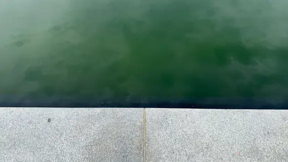 Blick von oben auf ruhiges, grünliches Wasser über einem hellen Steinrand. Ästhetische Bildanordnung.