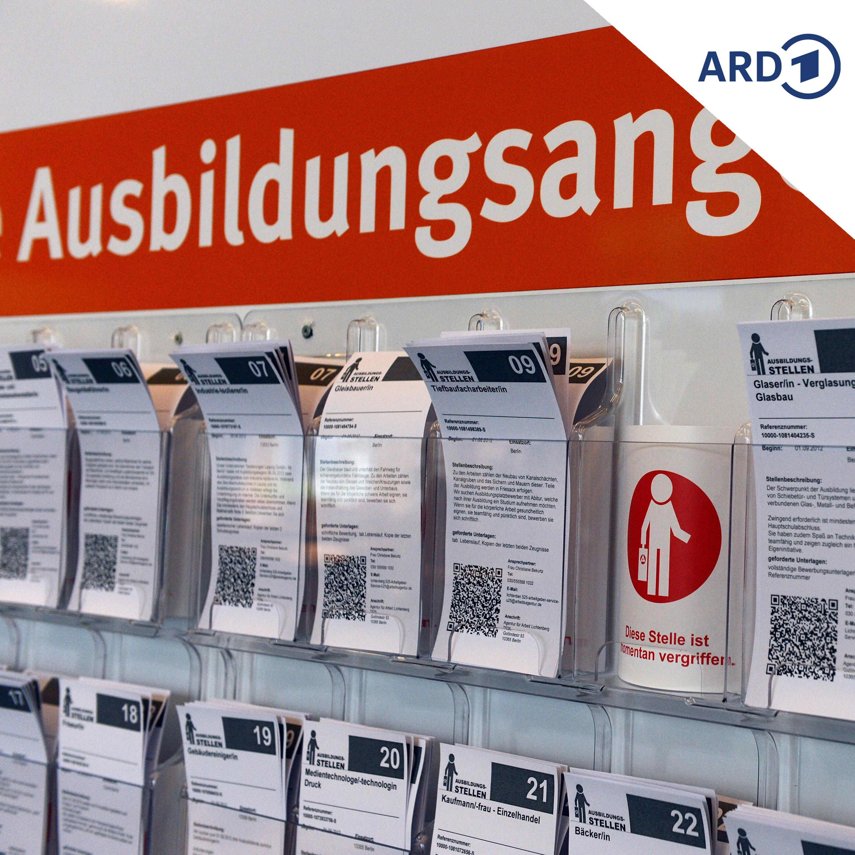 Jugendarbeitslosigkeit: Wie Sachsen gegensteuert episode artwork