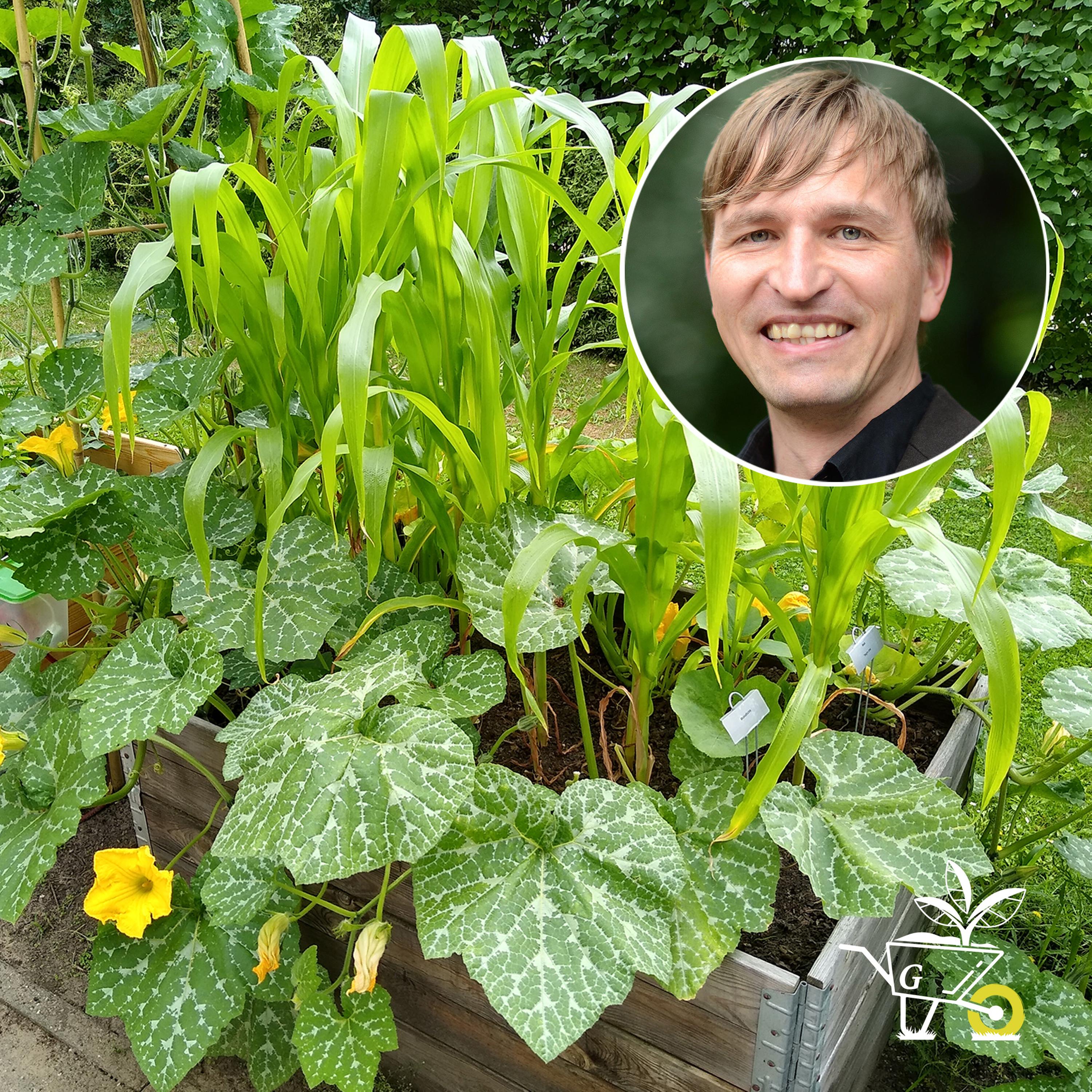 Kompost und Konfetti – der ARD Garten-Podcast