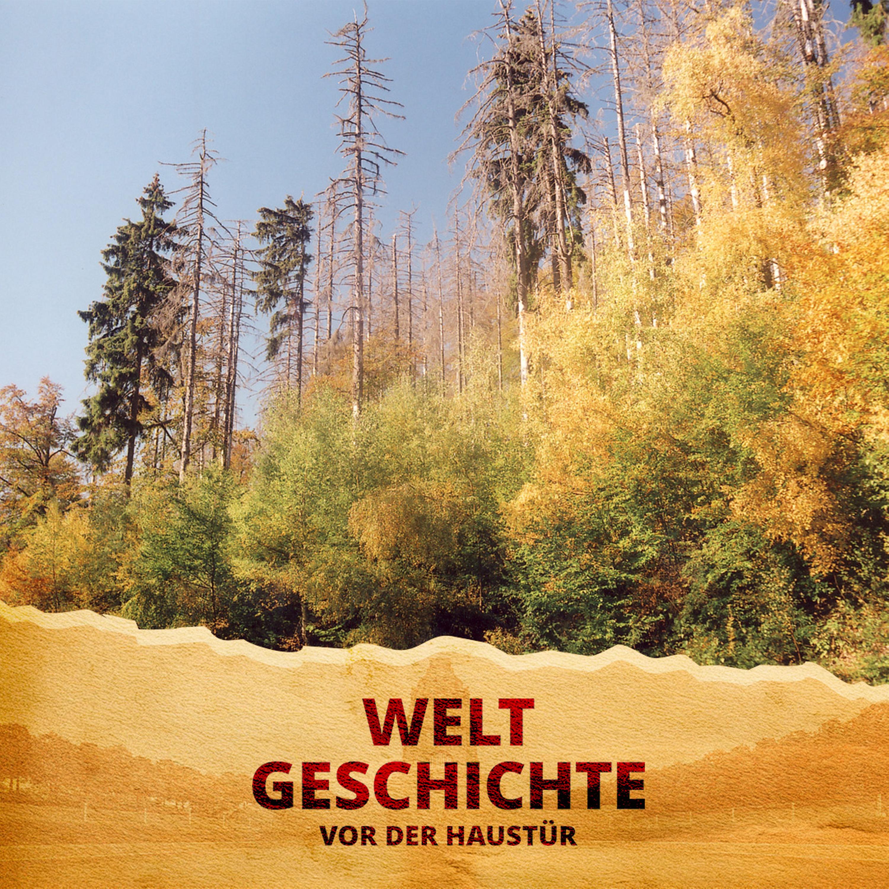 Nachhaltigkeit - Eine Idee aus Sachsen von gestern für morgen
