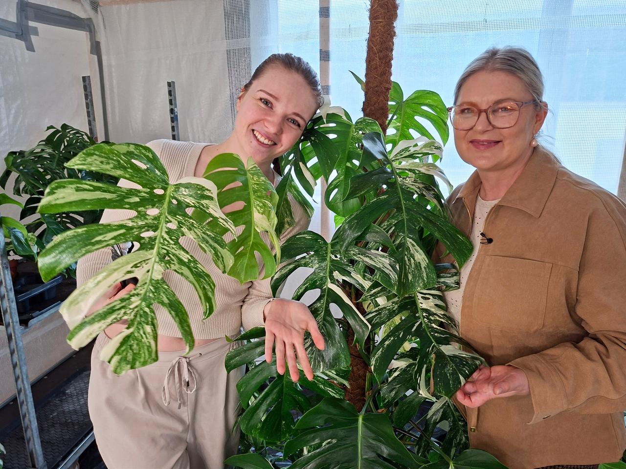"Rare Plants": So hast du Zimmerpflanzen noch nicht gesehen
