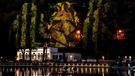 Landfestival Georgenthal im Thüringer Wald: Mit Lichtern angestrahlter dunkler Wald an einem See in der Abenddämmerung