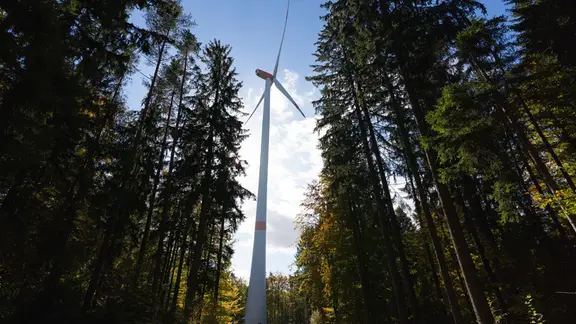 Die Sonne lässt das verfärbte Herbstlaub rund um ein Windrad aufleuchten.