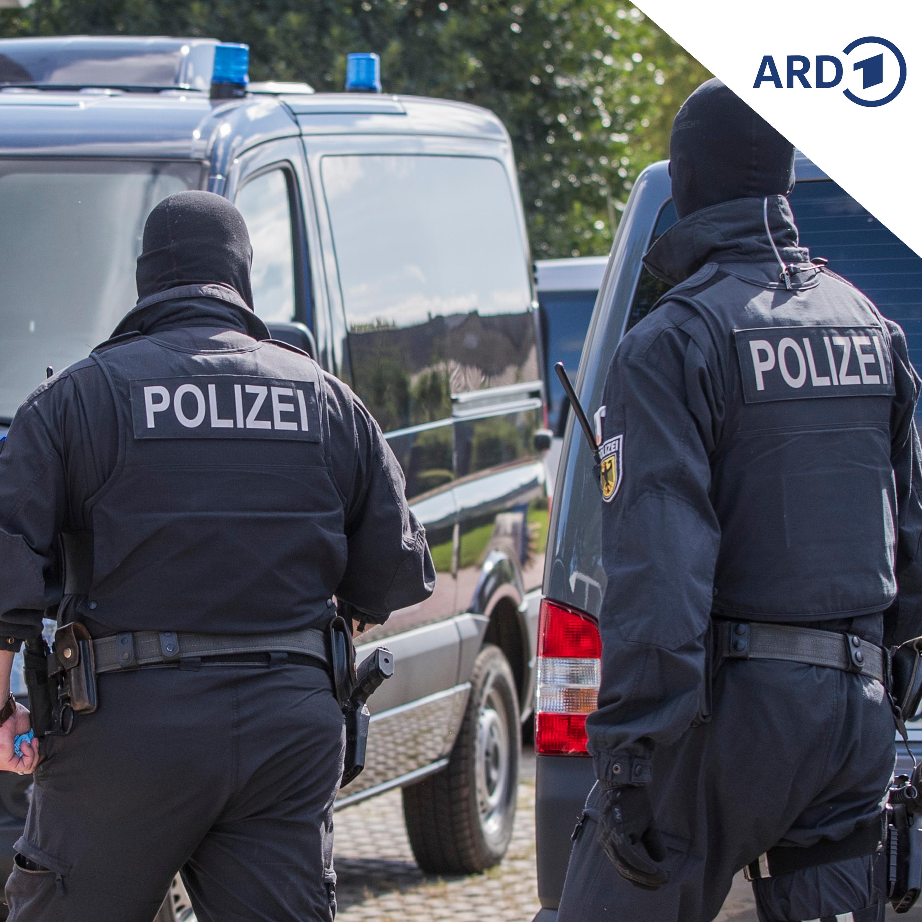 Razzien nach hunderten Bombendrohungen episode artwork