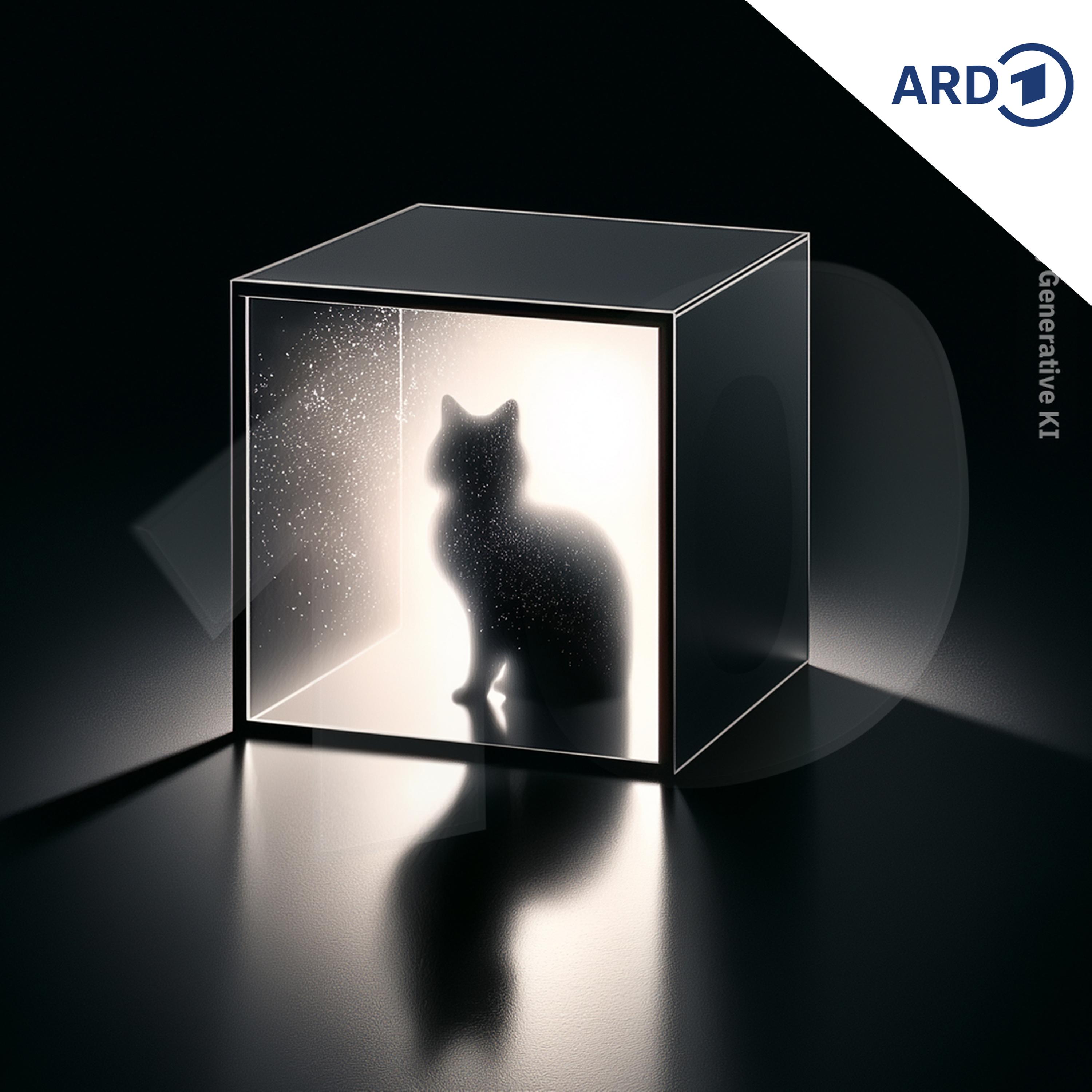 Kann man Quantenphysik verstehen?