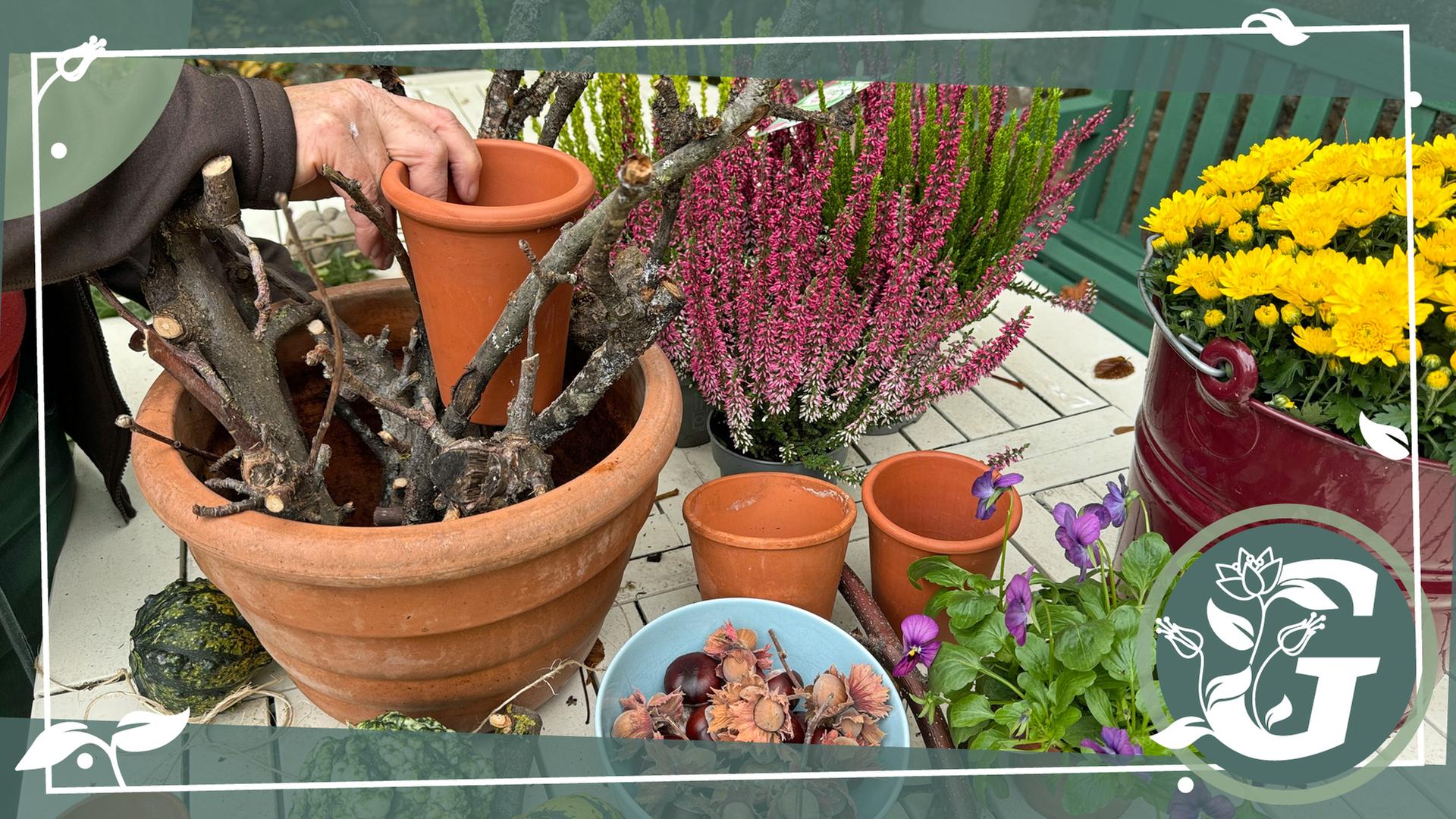 pflanztopf mit übertopf Neu !! Kleiner winterfester Blumentopf grün hochglänzend glasiert ø ca – La  Casa